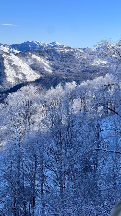 Bakuriani Ski Resort — photo by @unboka