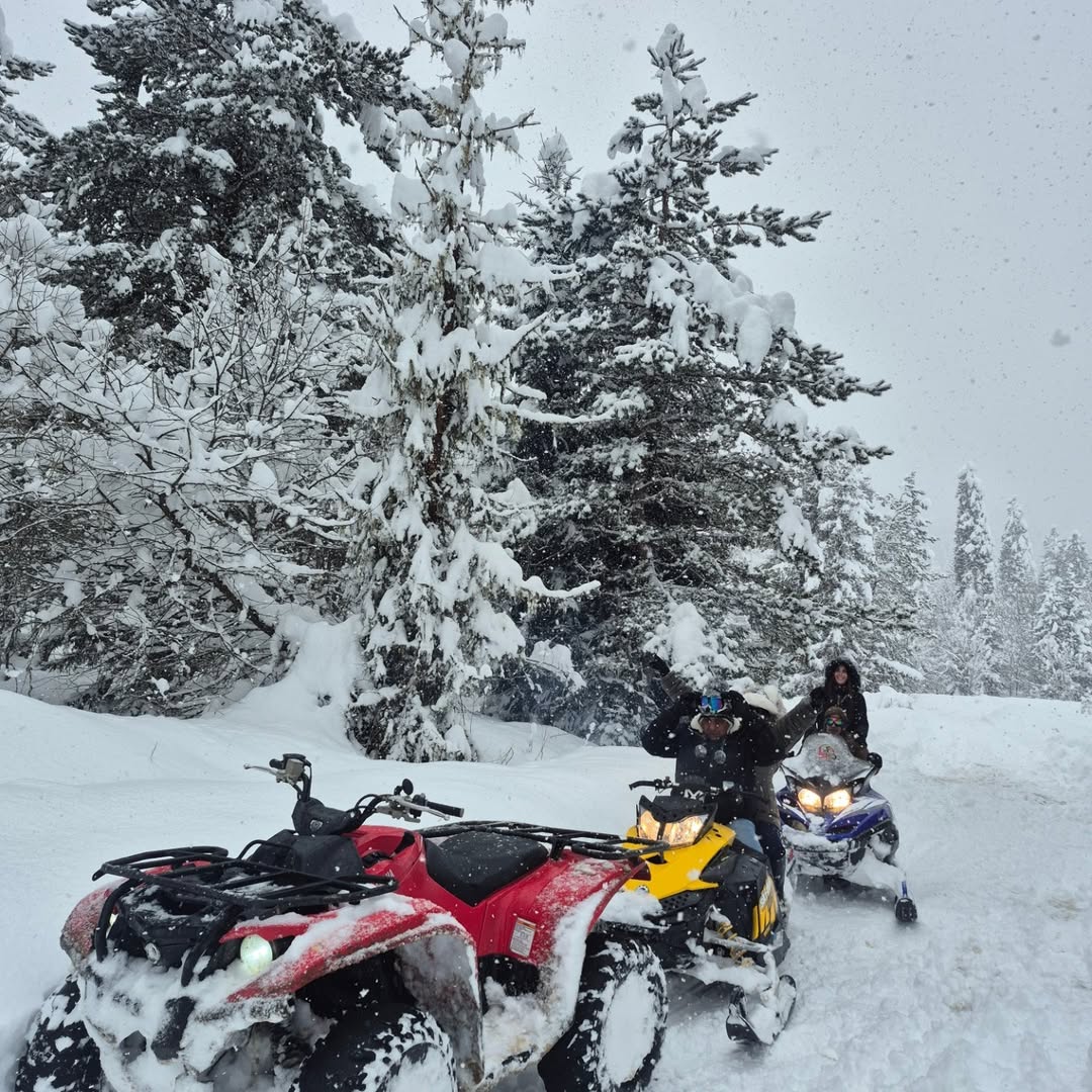 Bakuriani Ski Resort — photo by @borjomi_horse_and_off_road