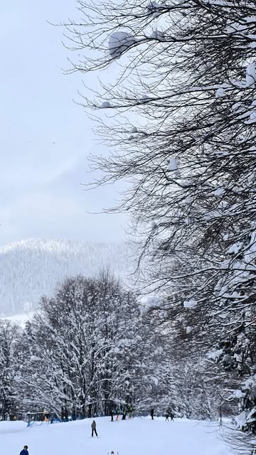 Bakuriani Ski Resort — photo by @unboka