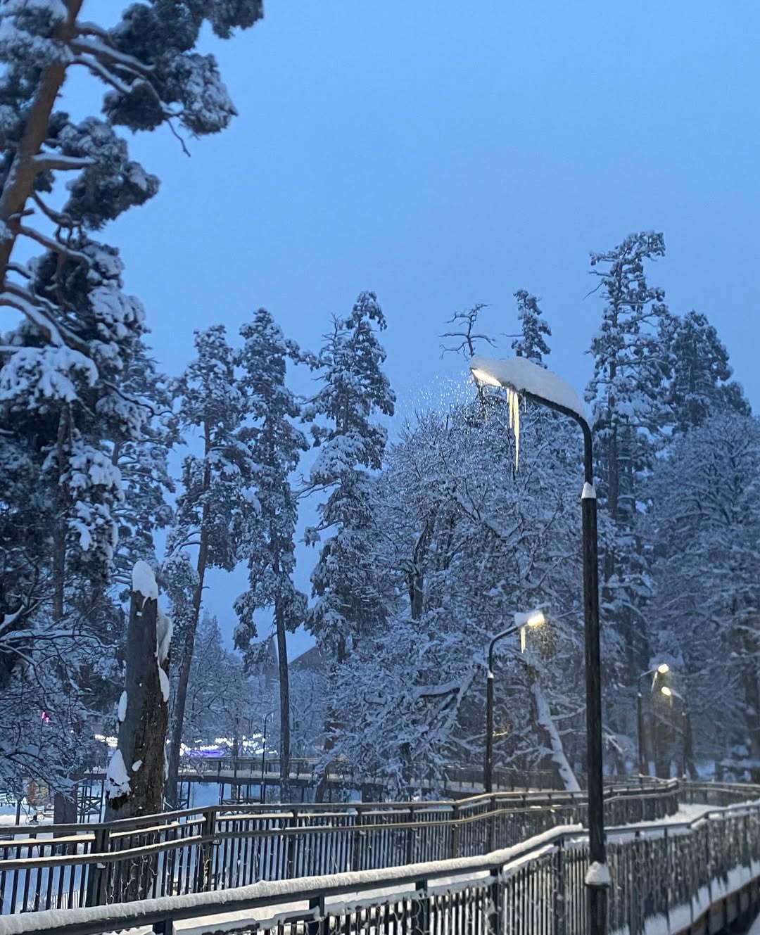 Bakuriani Ski Resort — photo by @deesseketatoo