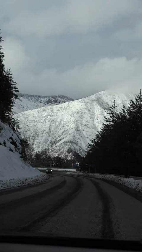 Bakuriani Ski Resort — photo by @katy.photo.tbilisi