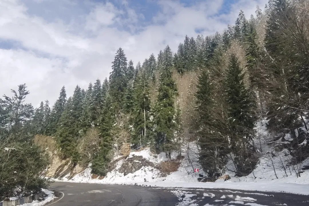 Bakuriani Ski Resort - DW6xBzODY0p